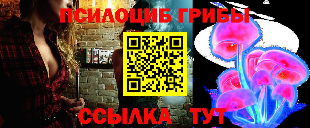 Псилоцибиновые грибы Cubensis  Галлюциногенные грибы Psilocybe  Отрадное  Вход с VPN 